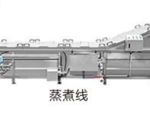 Meatball boiling machine