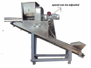 hoister